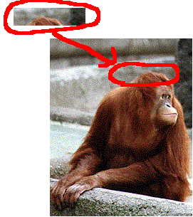 exhibit_b.GIF