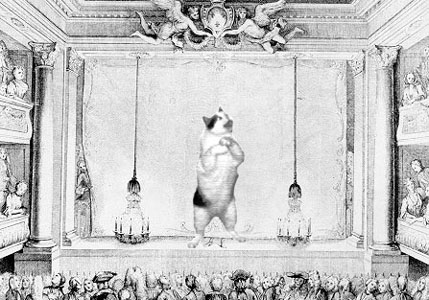 rideaux1.jpg