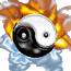 souravtrans_6_1.gif