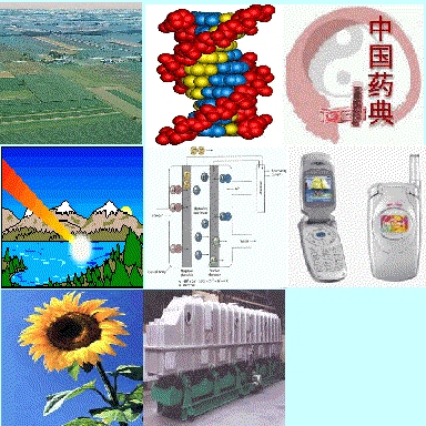 8techs.jpg