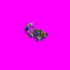 BombardDemo.gif