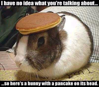 bunn.jpg
