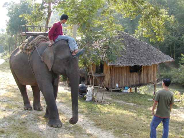 elephantride.jpg