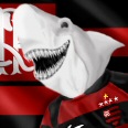 sharklawmengo.jpg