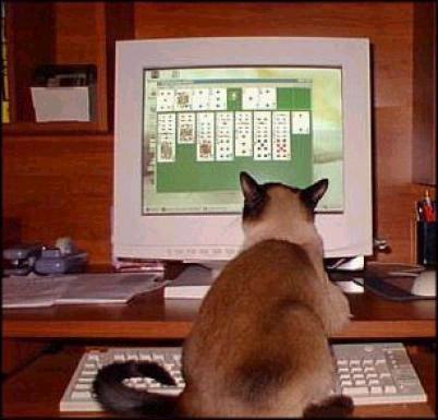 solitare.jpg
