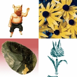 4_vues.jpg