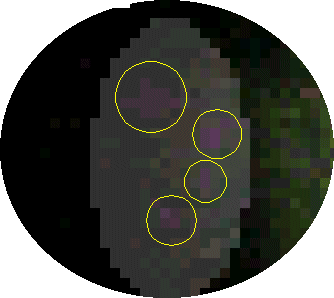 DG5_BC1450_FrenchBorder_Light.gif