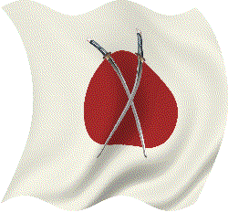 DG5_CT_flag_v2_small.gif