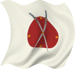DG5_CT_flag_v3_small.gif