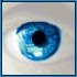 Eye.JPG