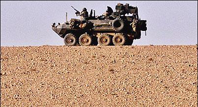 LAV.JPG