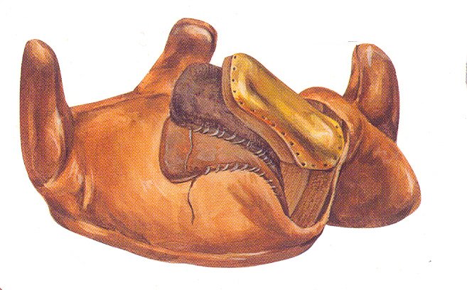 Roman-saddle.jpg