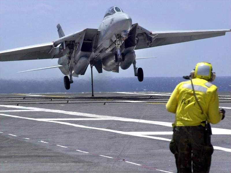 Tomcat_in_Wires.jpg