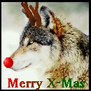 Xmas_Wolf.JPG
