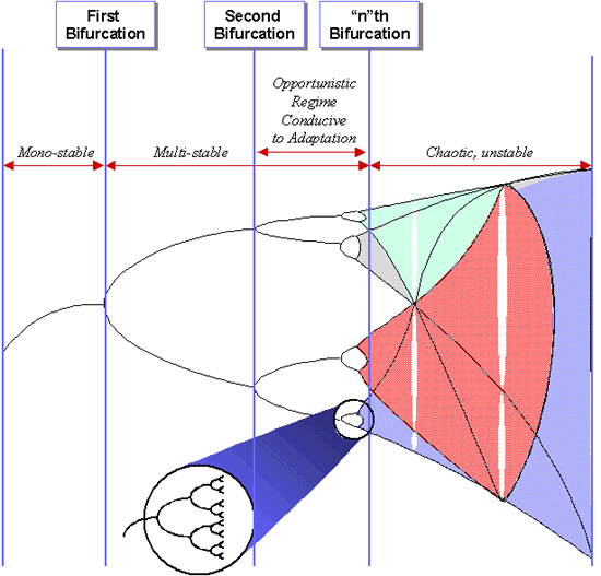 bifurcation.gif