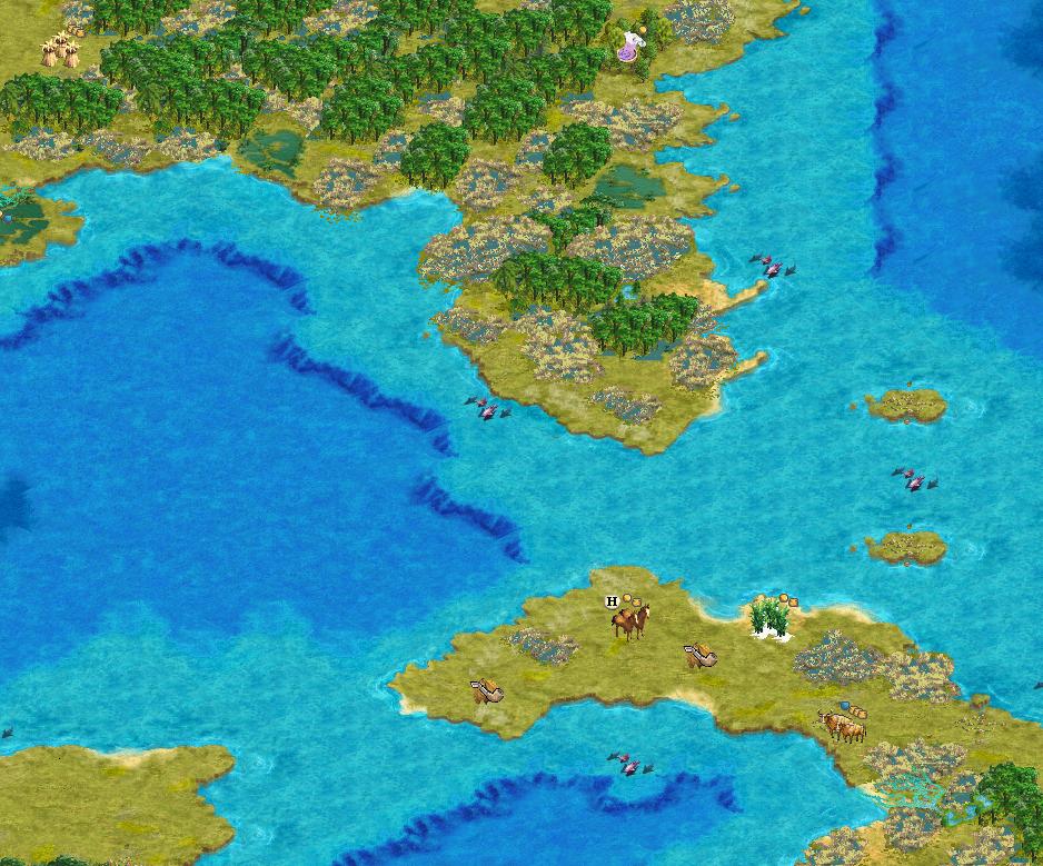 mangroves.JPG