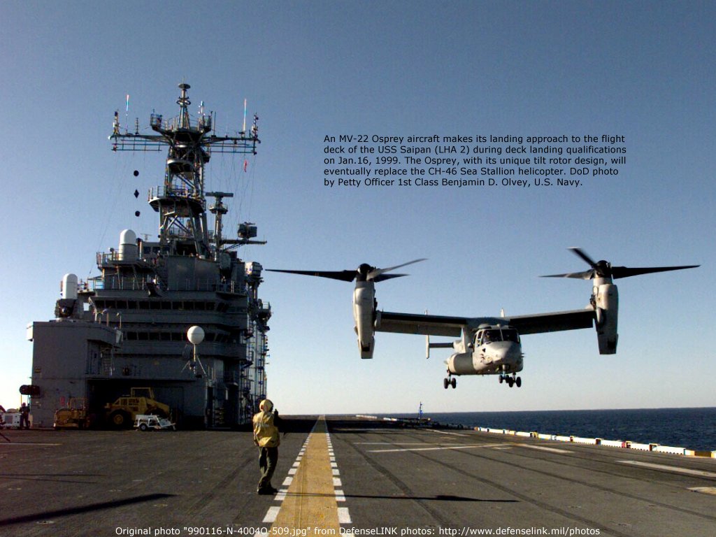 osprey01_w.jpg