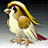 pok12.png