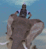 romej.gif