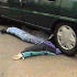 runover.JPG
