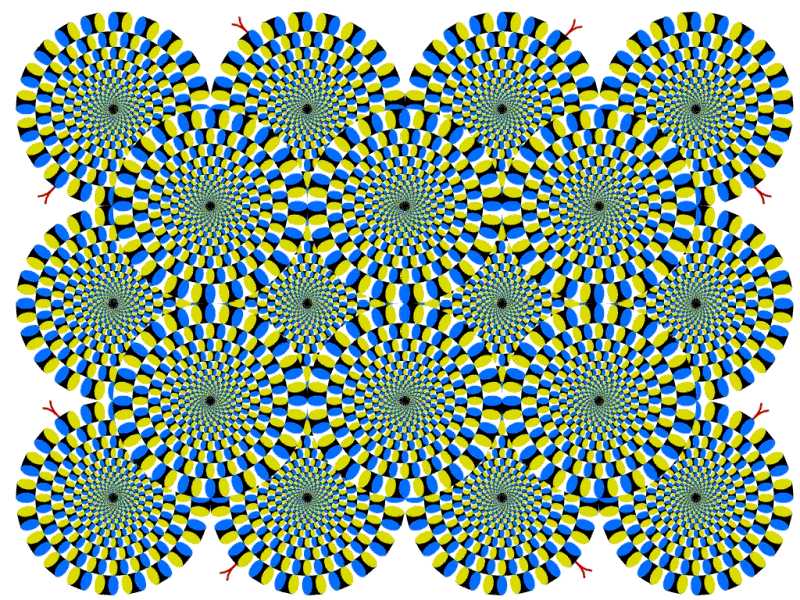 test.jpg