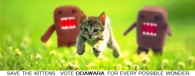 vote_odawara.png