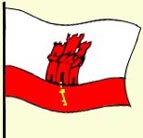 DG6_BC4000_gflag.jpg