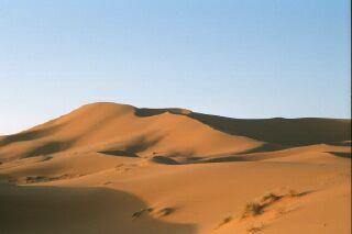 Desert.JPG