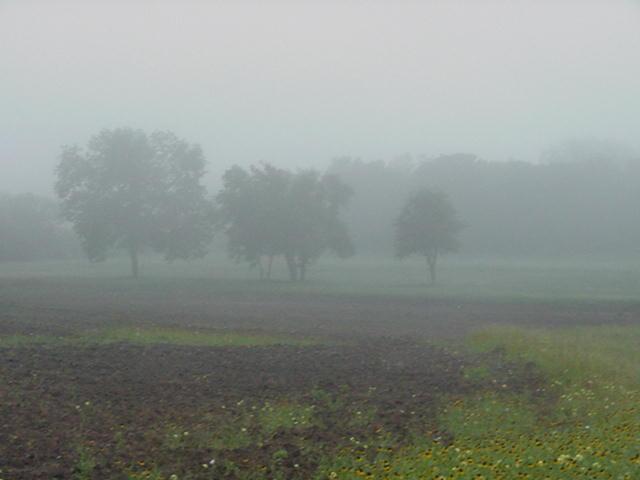 Foggy.JPG