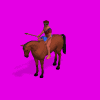 Guayacuru-Fortify.gif