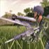 Hawk-down1.jpg
