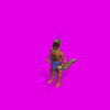 Maratekoara-Plant.gif