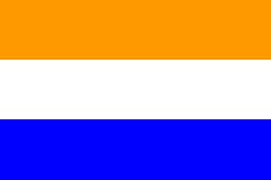 NEOorangeflag.JPG