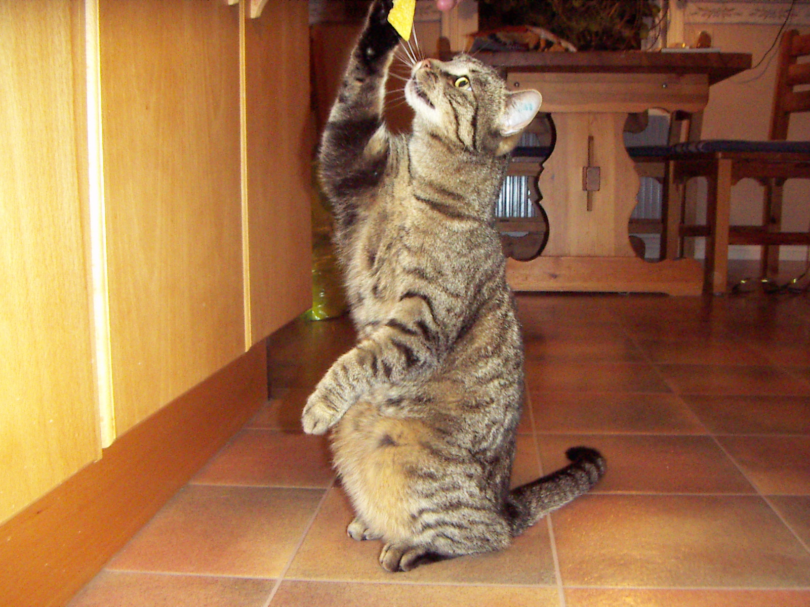 PICT0035.JPG