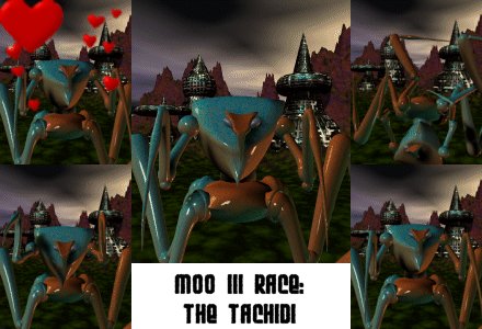Tachidi.jpg