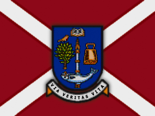 dg1flag.jpg
