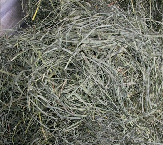 hay-bluegrass.jpg
