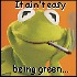 kermit_sm.jpg