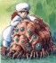 nausicaa3.jpg