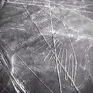 nazca.jpg