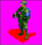 turkRM.jpg
